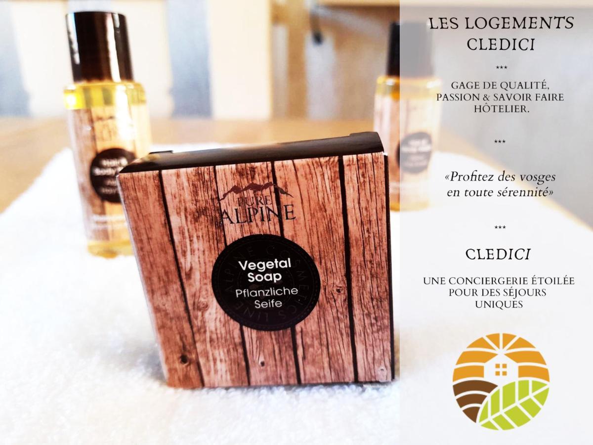 ⁂⁂ Le Nid De Pierre & Julie Cledicihome 2 Pas Du Centre Ville / Spa & Terasse Amenagee ⁂⁂ La Bresse Ngoại thất bức ảnh